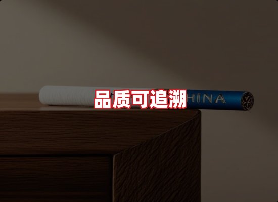 专业团队
